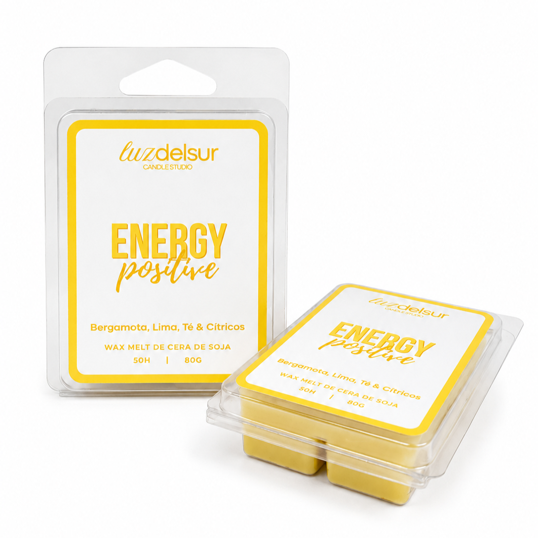 PACK INICIACIÓN WAX MELTS