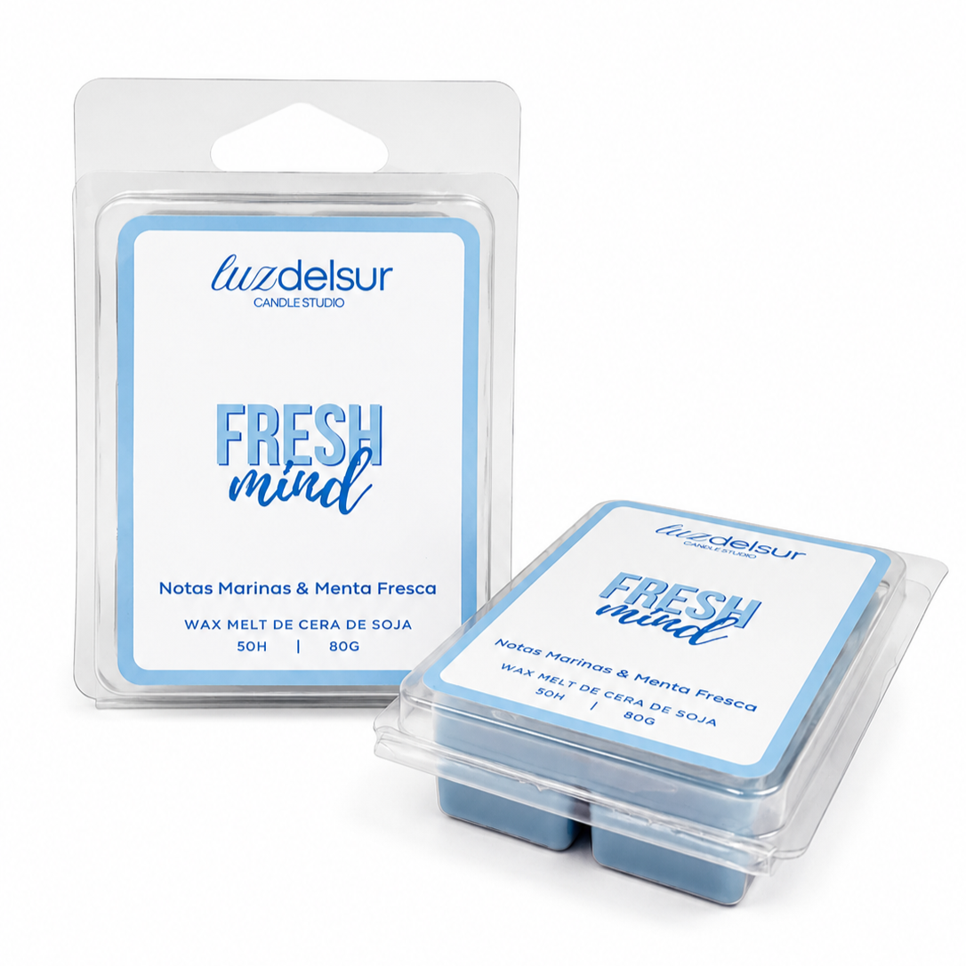PACK INICIACIÓN WAX MELTS